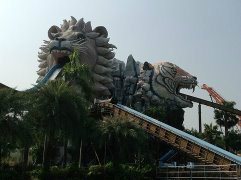 photo 726865