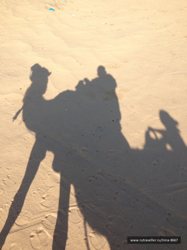 photo 1058095