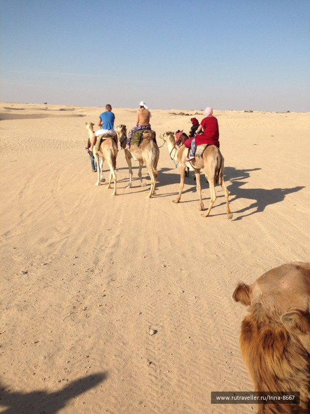photo 1058096