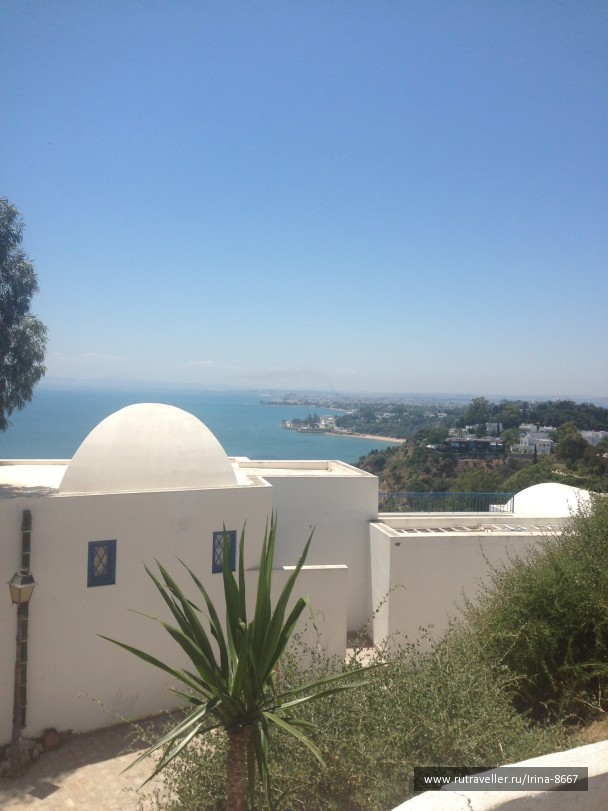 photo 1058113
