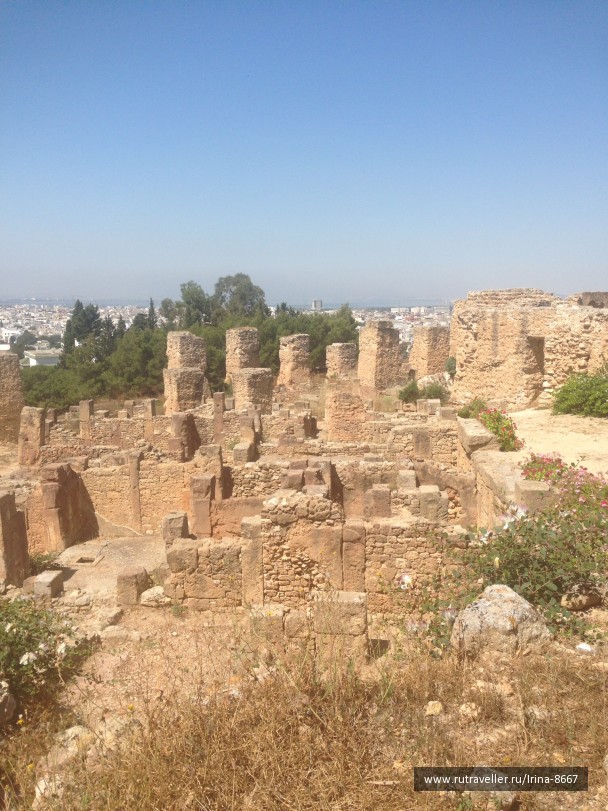 photo 1058123