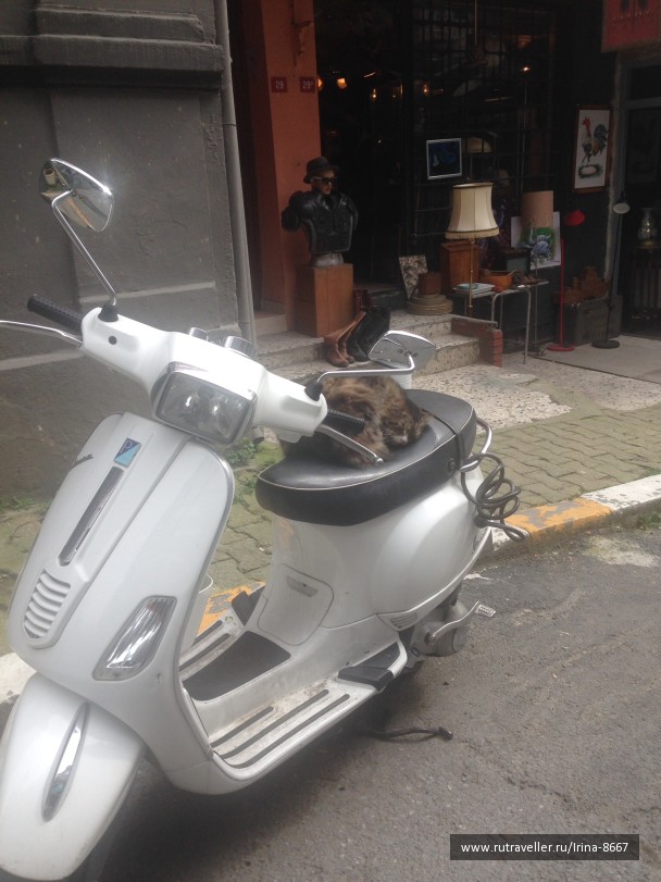 photo 1056767