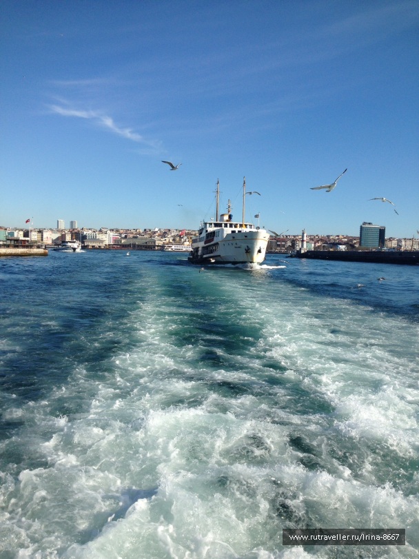 photo 1056781