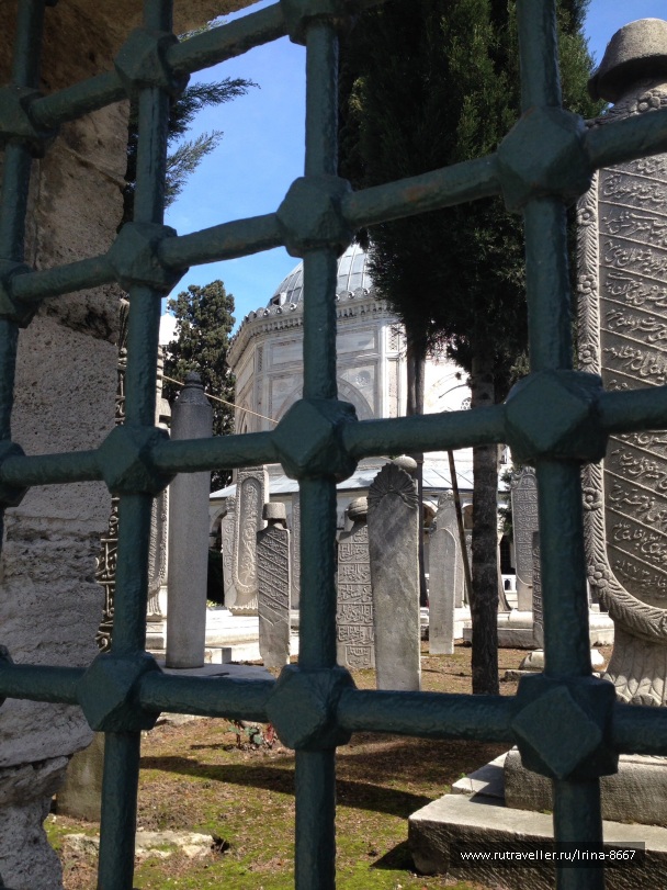photo 1056831