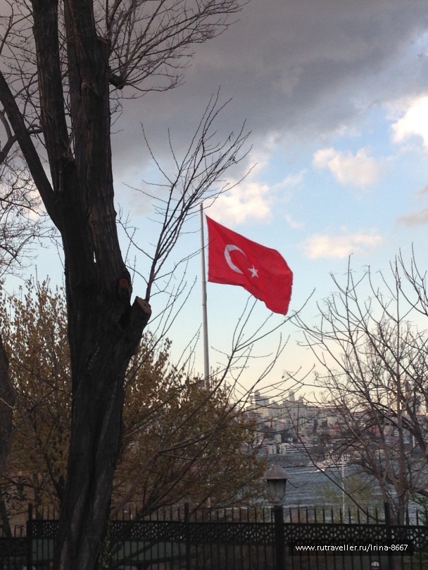 photo 1056844