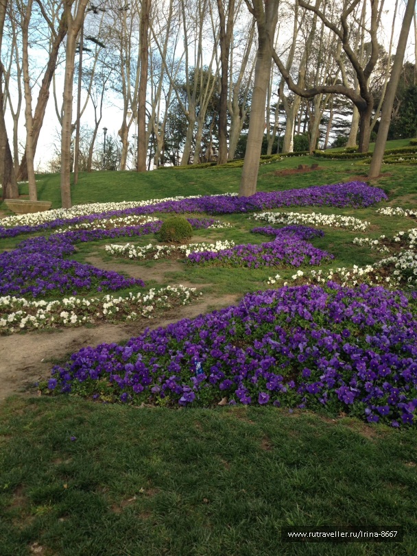 photo 1056847