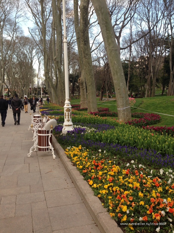 photo 1056848