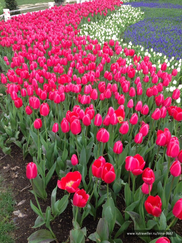 photo 1077575