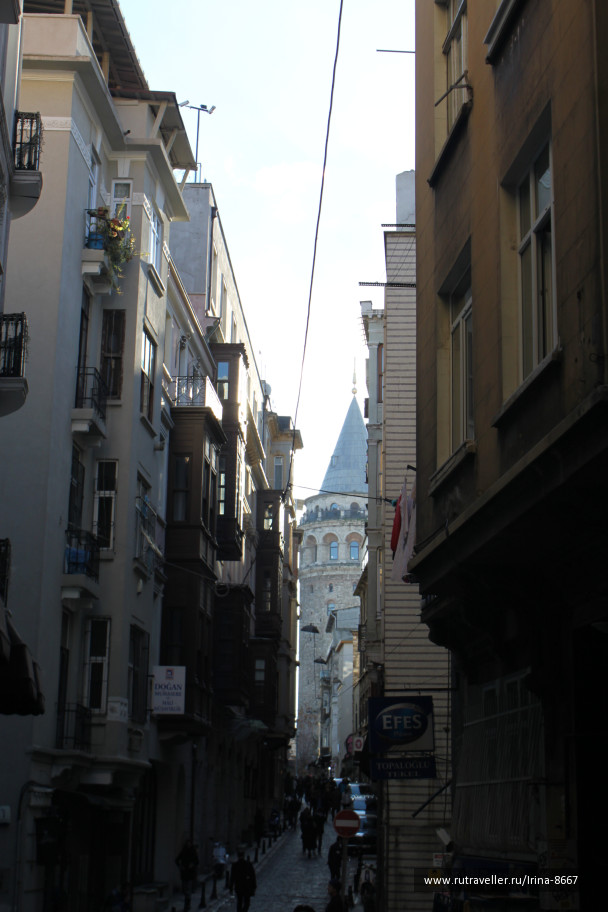 photo 1078039