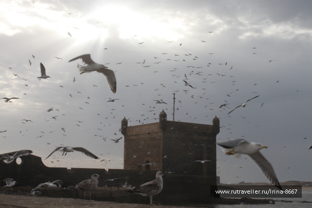 photo 1057449