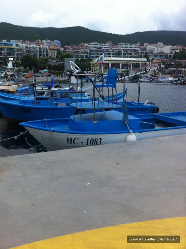 photo 1072315