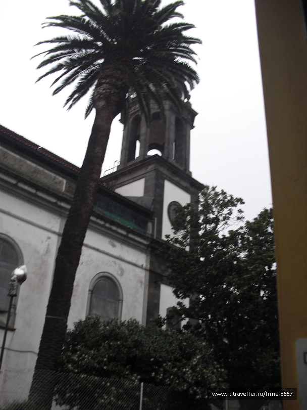 photo 1101909