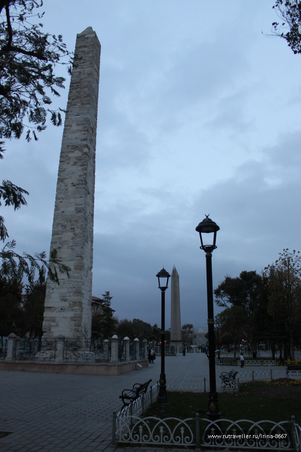 photo 1083967