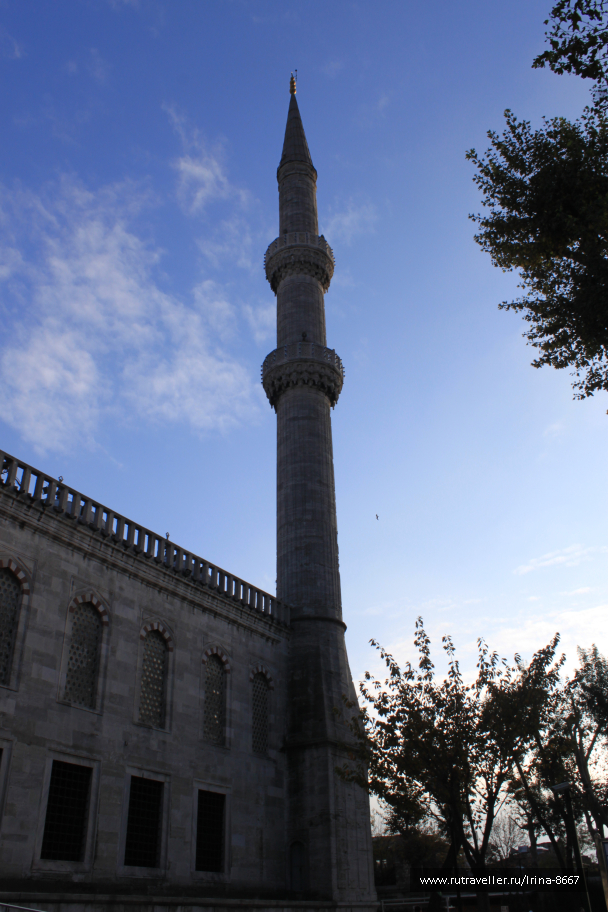 photo 1083975