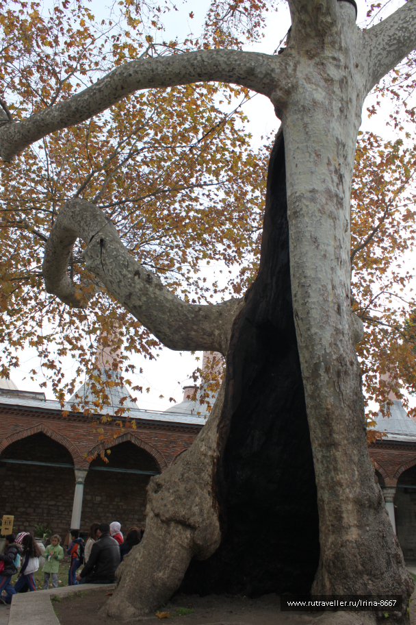 photo 1084014