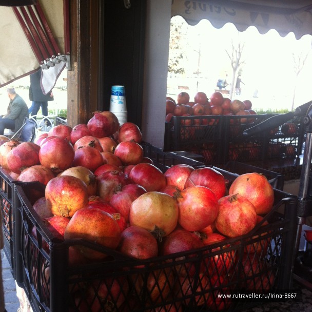 photo 1084046