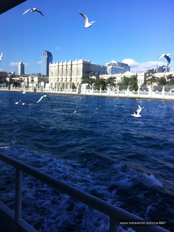 photo 1084073