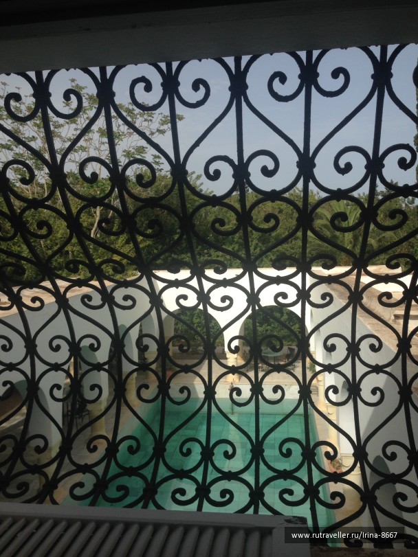 photo 1306377