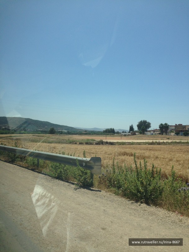 photo 1306385
