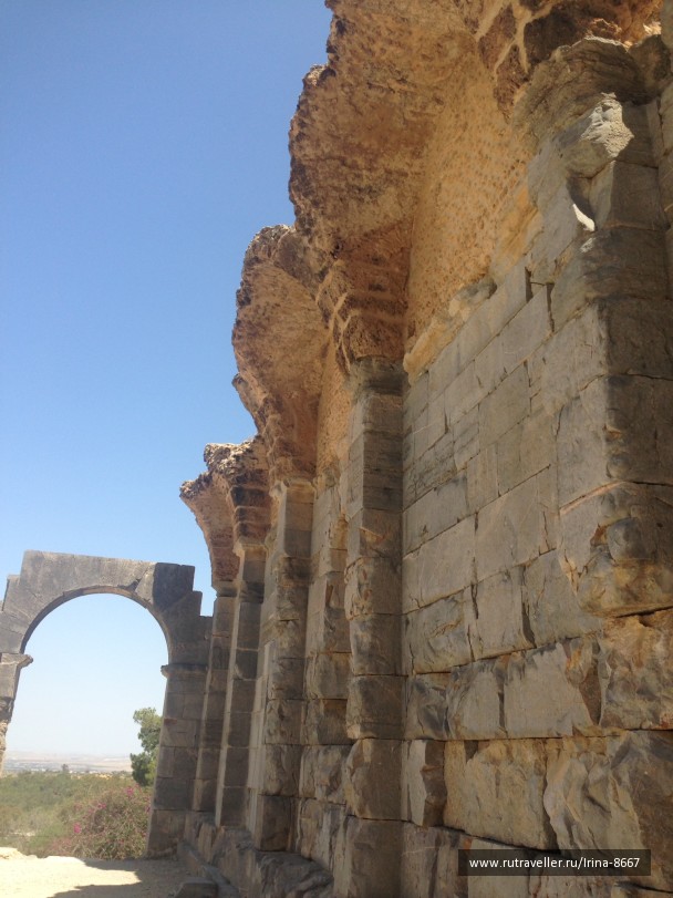 photo 1306388