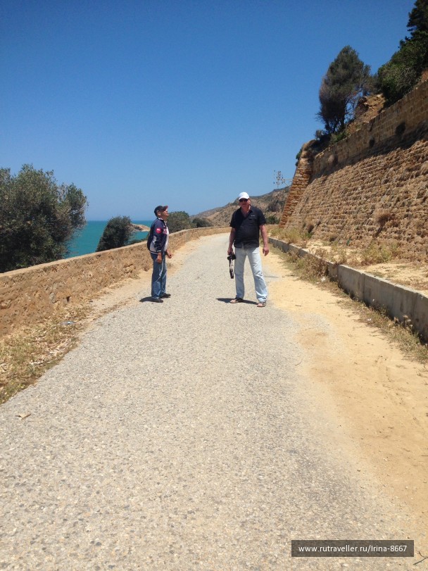 photo 1306399