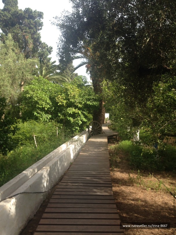 photo 1307026
