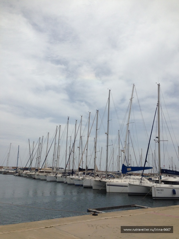 photo 1307035