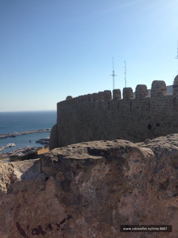 photo 1313449