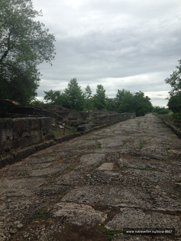 photo 1496485