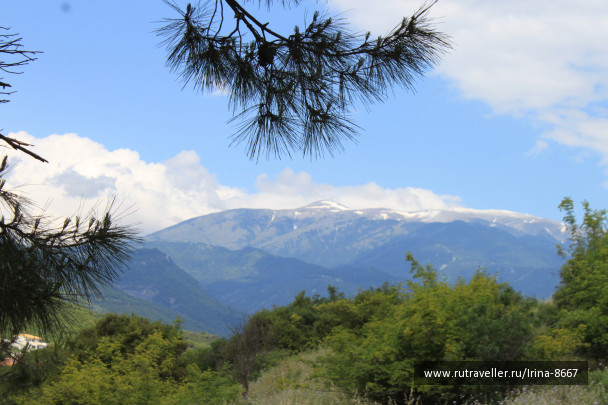 photo 1496950
