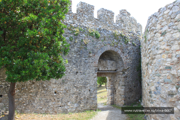 photo 1497116