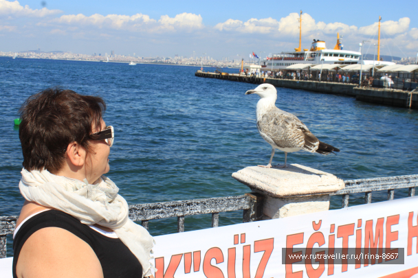photo 1539140