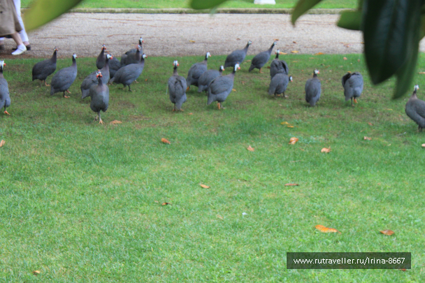 photo 1539155