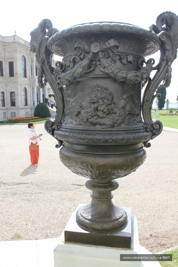 photo 1539161