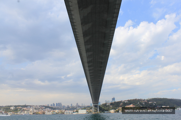 photo 1539168