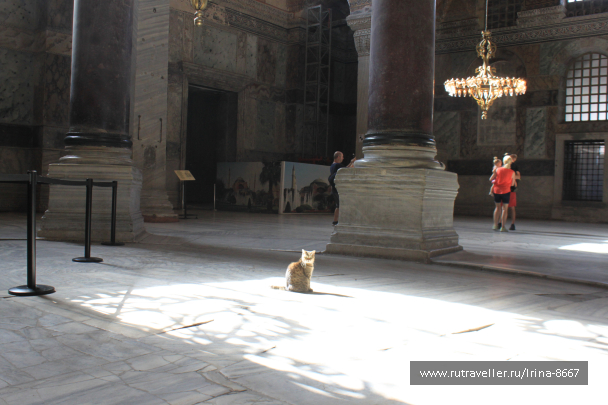 photo 1539189