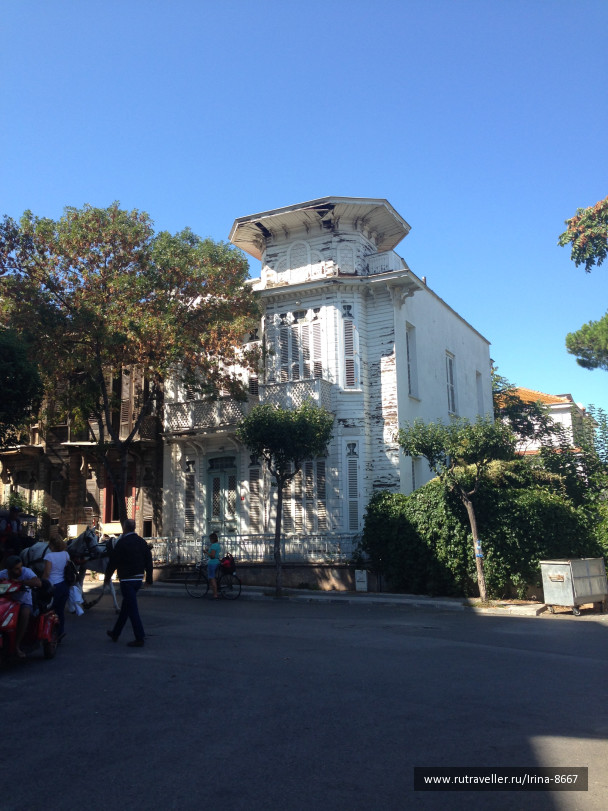 photo 1556241
