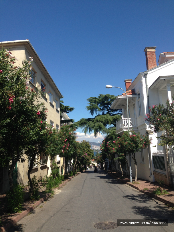 photo 1556242