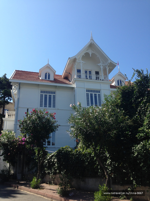 photo 1556243