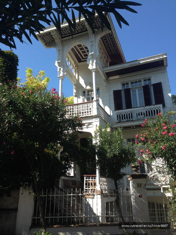 photo 1556244