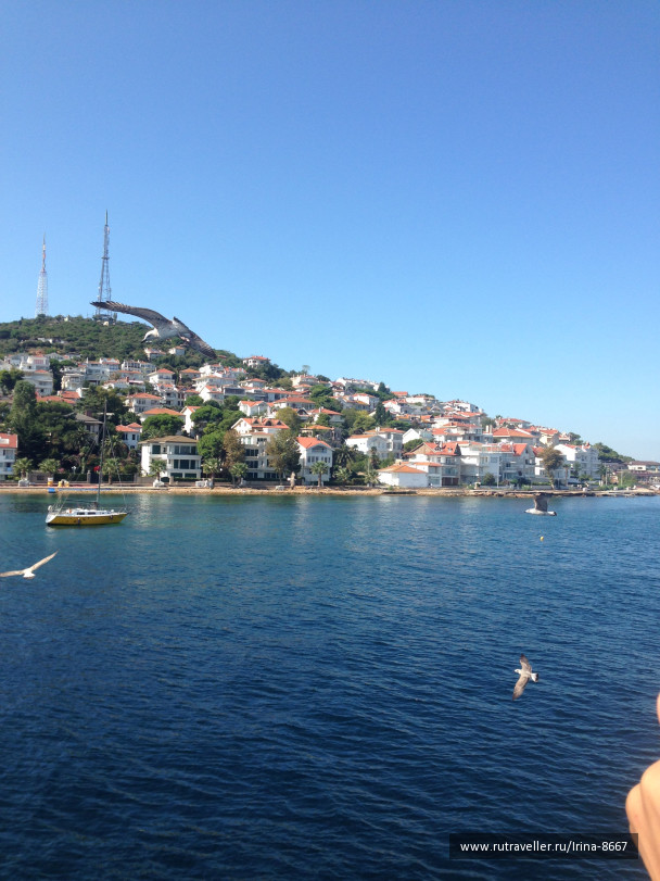 photo 1556246