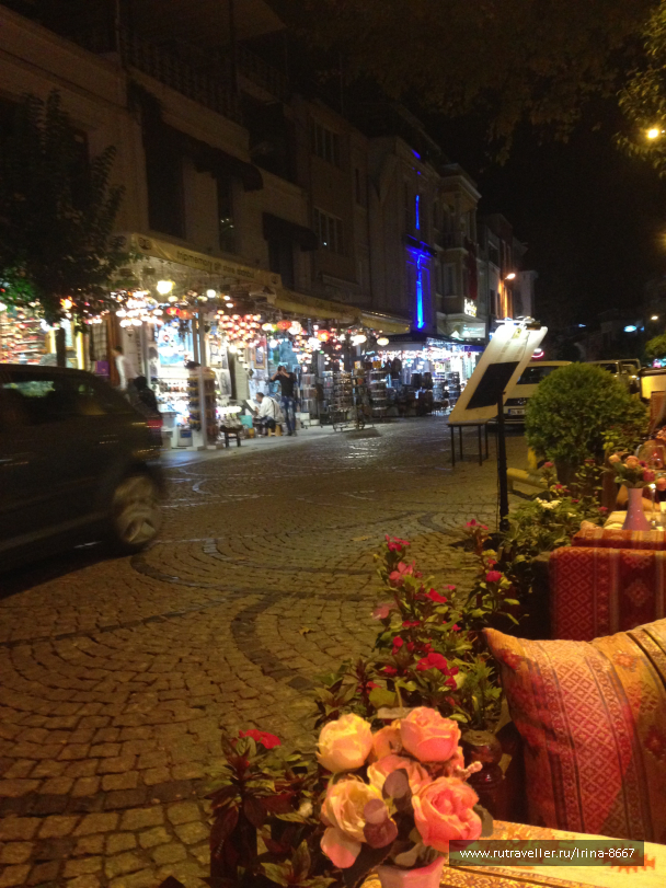 photo 1556254