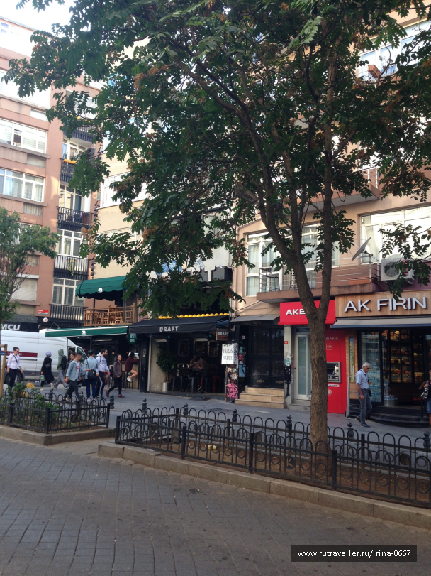 photo 1556257