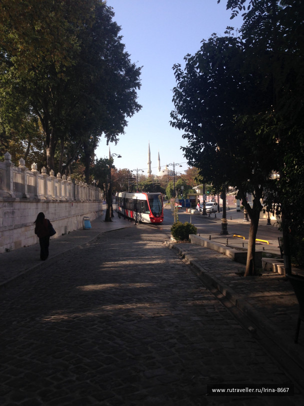 photo 1556263
