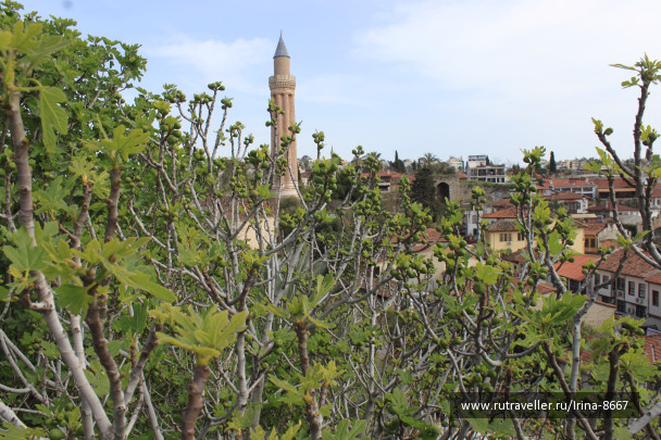 photo 1613631