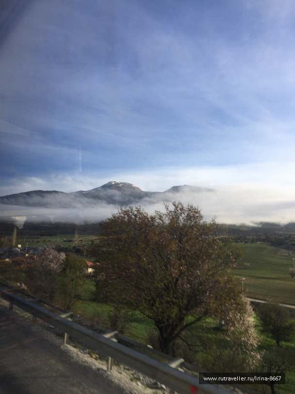 photo 1613650