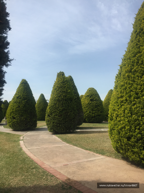 photo 1613652