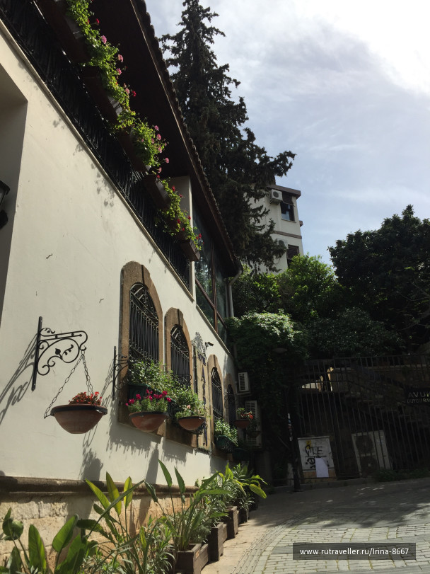 photo 1613658