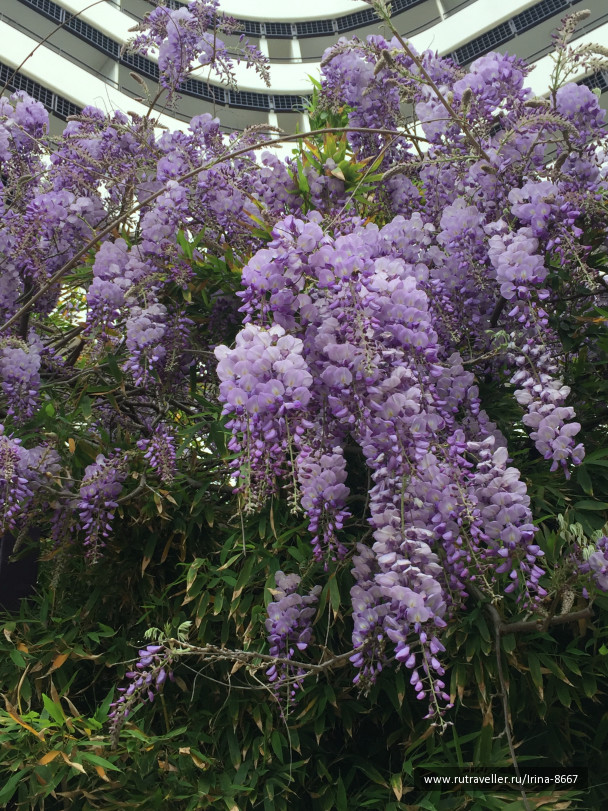 photo 1613671