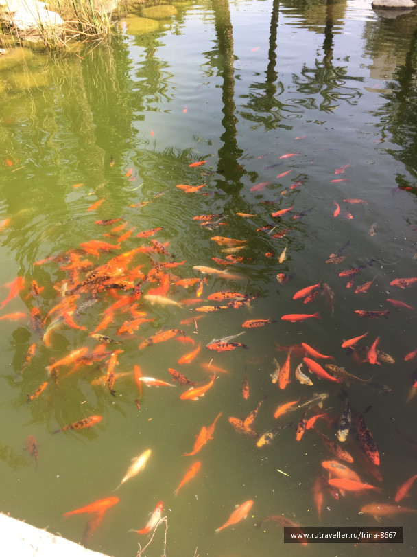 photo 1613670